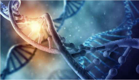 Patru experimente extraordinare referitoare la ADN care nu sunt popularizate pentru ca ar schimba total percepția asupra lumii în care trăim!