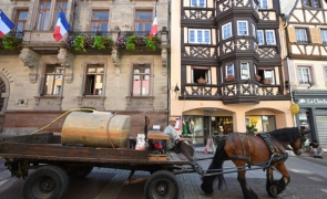 Râdeau de noi: Francezii trec pe tracțiune animală. Caii au luat locul mașinilor în salubritate, scoli și transport elevi!