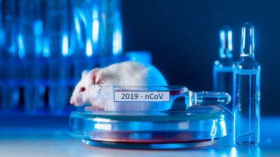 Se confirmă că Omicron s-a mutat într-un șoarece de laborator si a "sărit" la om. Scăpat intentionat sau nu?!