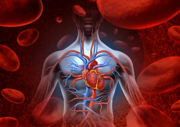 Un nivel crescut de oxigen în sânge înseamnă un sistem imunitar puternic!