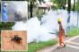 Alertă epidemică globală. Virusul chikungunya se răspândește rapid din China în alte țări
