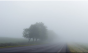 Alertă meteo: Cod GALBEN de ceaţă în patru judeţe