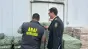 ANAF a descoperit o schemă de fraudă cu peste 2.000 de mașini second-hand. Prejudiciu estimat la peste 26 de milioane de lei
