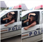 Anchetă internă la IPJ Teleorman, după ce un tânăr s-a pozat bând bere în maşina Poliţiei 