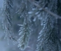 ANM a actualizat prognoza: La noapte poate ninge in Bucuresti