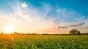 ANM: Temperaturi peste normele climatologice în septembrie, octombrie și noiembrie în sudul, sud-estul și vestul țării
