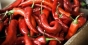 Ardeiul iute, cel mai pretios medicament din gradina cu legume. Cum te poate salva planta plina de vitamine si capsaicina