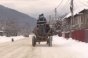Au legat un tânăr de un copac şi l-au bătut până a intrat în comă