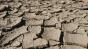 Avertismentul geologilor: Terra va avea parte de a șasea extincție în masă, comparabilă cu cea care a dus la dispariția dinozaurilor
