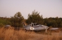 Avion prăbușit în Germania! Natalia Fileva, una dintre cele mai bogate femei din Rusia, a murit în urma tragediei aviatice