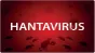 Cât de îngrijoraţi ar trebui să fim în privinţa hantavirusului - OMS: "Nu este Covid, nu este gripă, se transmite foarte, foarte diferit"