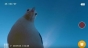 Camera GoPro, descoperItă la cinci luni după ce a fost „furată" de un pescăruş. Este uimitor ce filmări a găsit propietarul