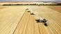 Canicula loveşte puternic agricultura europeană. Uleiul de măsline, printre cele mai afectate produse - Care sunt avantajele României
