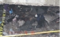 Caz de canibalism în Covasna: a băut sângele victimei şi i-a mâncat o bucată de faţă