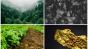 Ce loc ar trebui să ocupe România în UE, ca nivel de trai, ținând cont de resursele naturale, potrivit AI. Cauzele eșecului, găsite de inteligența artificială