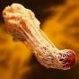 Cel mai tare experiment al tutror timpurilor: Celulele sistemului imunitar acționează la distanță și daca au fost extrase din organism la unison cu cele ramase ăn corp