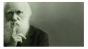 Charles Darwin - lucruri mai putin stiute despre omul care a schimbat omenirea