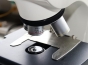 Chinezii au creat nanoboti care ucid celulele canceroase!
