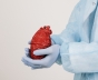Chirurgii americani au reușit să repornească o inimă în afara corpului. Tehnica revoluționară testată deja 'pe viu' ar putea schimba transplanturile cardiace