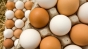Cine a adus din Germania galbenusul de ou lichid contaminat cu Fipronil
