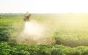 Criminalii din agricultură care folosesc erbicide cancerigene șantajează lumea cu o foamete fără precedent
