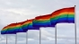 Curtea Supremă a Rusiei a scos în afara legii mișcarea LGBT calificând-o drept "extremistă"