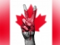 De la 1 mai, românii pot călători în Canada cu autorizații electronice în loc de vize