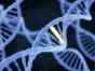 Descoperire fără precedent in genetică: Un cod secret ascuns în organismul uman a fost găsit de cercetatori
