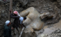 Descoperire inestimabila în Egipt: statuie gigant a lui Ramses al II-lea