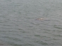 Descoperire misterioasă în Lacul Morii