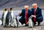 Donald Trump a comis o gafă de proporții: A impus tarife pinguinilor din insule cu zero populație umană
