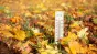 El Nino contraatacă - Răsturnare spectaculoasă a vremii în România: De la ninsoare la 25 de grade în doar câteva zile
