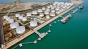 Fostul guvernator-gunoier al Deltei Dunării, administrator la Oil Terminal 