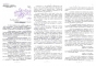 G4M: Cum funcționa rețeaua informatorilor-copii, construită de fosta Securitate. Raport informativ din 1989, despre cum erau monitorizate școlile dintr-un județ din Ardeal

