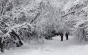 Ger polar în România. A fost cea mai rece noapte. S-au registrat -22 de grade