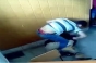 Imagini șocante: Elev bătut cu sălbăticie într-o sală de clasă a unei școli din Timiș