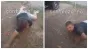 Imagini virale cu cel mai tânăr viceprimar din România: Se târăște prin șanț și abia poate vorbi. În februarie a fost reținut după o urmărire cu poliția. Era beat și s-a răsturnat cu mașina în șanț
