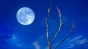 Luna albastră de sâmbătă va fi ultima până în 2020 de Halloween