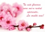 Mesaje și felicitări de Florii. Lista numelor sărbătorite: La mulți ani de Florii!