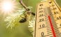 Meteorologii ANM au actualizat prognoza: Vom avea un început de primăvară cum nu s-a mai văzut în România
