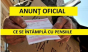 Ministrul Muncii, anunț important despre pensii în 2019! Toți românii care au cotizat sunt vizați