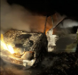 Momente de coșmar în Giurgiu! O mașină de livrat pizza a luat foc în mers și, ulterior, a explodat
