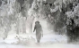 Ne asteapta o iarna grea, cu ger si temperaturi incredibile