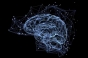 Neurochirurgul Leon Dănăilă: Șapte reguli de aur pentru a avea un creier sănătos la vârstă înaintată