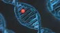 O nouă frontieră în medicina genetică: ARNt ar putea repara erorile de cod ale ADN-ului fără să modifice genomul