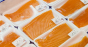 Omega 3 e la vrăjeală: Producătorii de somon de crescătorie hrănesc peștii cu ulei de canola modificat genetic