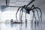 Păianjen de 10 metri înălțime și 10 tone creat de Louise Bourgeois instalat la Sydney