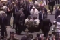 Papa Francisc a coborât din papamobil pentru a ajuta o poliţistă căzută de pe cal