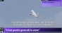 Pasager din avionul Blue Air: "Nu a fost uşor să cazi în picaj aşa dintr-o dată. Doi bărbaţi plângeau. Unei femei de la Constanţa i s-a făcut rău"