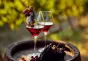 Peste 11 milioane de euro pentru modernizarea sectorului vitivinicol din România
